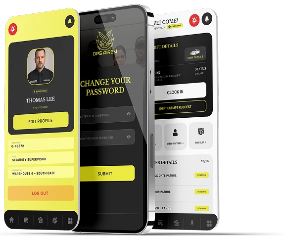 DPS Airem screenshot